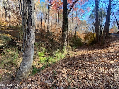 0 Mountain Side Ln, Rocky Top, TN 37769 - photo 2