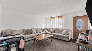 577 1/2 Plainview Ct, Grand Junction, CO 81504 - photo 4