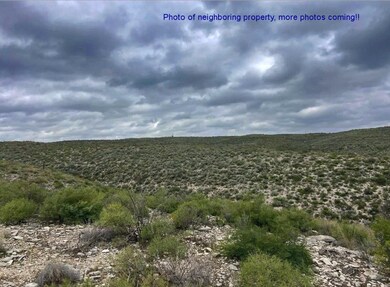 Tract 15-O Indian Creek Ranch, Dryden, TX 78851 - photo 7