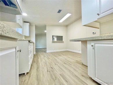 5397 N Irving Park Ave, Hernando, FL 34442 - photo 7