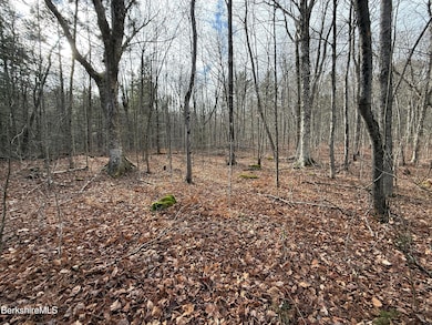 Lot 8 Benton Hill Rd, Becket, MA 01223 - photo 2