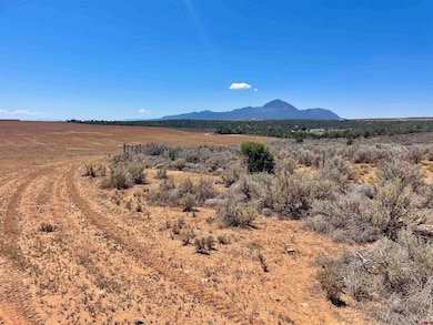 Tract 1 Road K 3, Cortez, CO 81321 - photo 2