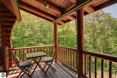 9770 Springvale Rd, Boyne Falls, MI 49713 - photo 5