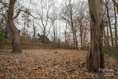 9336 Pinewood Ave, Charlotte, NC 28214 - photo 3