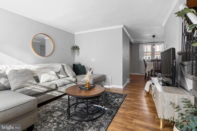 623 Beech Ave, Glenolden, PA 19036 - photo 4