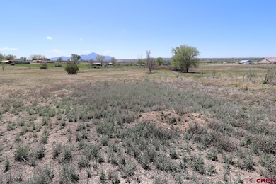 2606 Fairway Dr, Cortez, CO 81321 - photo 3