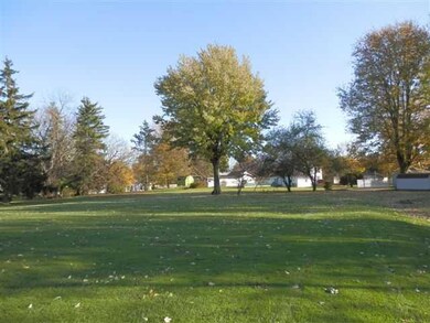 Yard/Garden large back yard