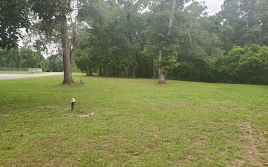 252 SW Wilson Springs Rd, Fort White, FL 32038 - photo 2