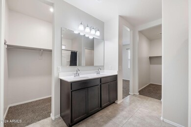 Owners Bathroom and 2 Walk In Closets