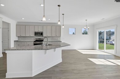 628 Thunder Gulch Ave, Lexington, SC 29073 - photo 6