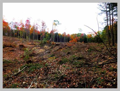 0 Route 175 unit 4666974, Thornton, NH 03285 - photo 3