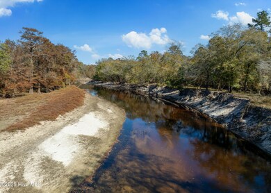 167 River Ridge Dr, Wallace, NC 28466 - photo 5