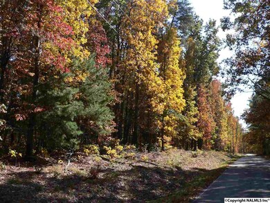 5025 Willow Dr SE, Huntsville, AL 35803 - photo 2