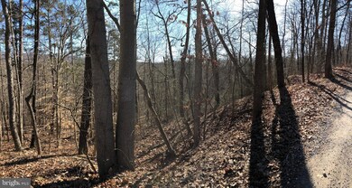 0 Old Oregon Rd unit VAWR139916, Front Royal, VA 22630 - photo 2