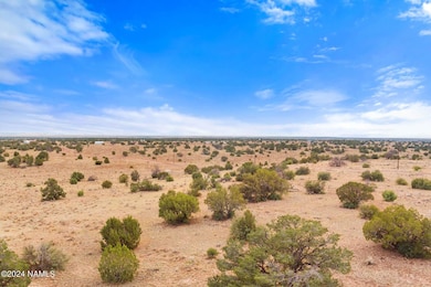 3097 N Peak View Rd unit Lot B, Williams, AZ 86046 - photo 7