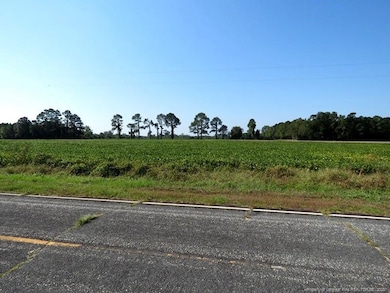 TBD Cowpen Swamp Rd, Fairmont, NC 28340 - photo 3