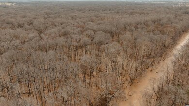 0 Etheridge Levee Rd, Greenfield, TN 38230 - photo 5