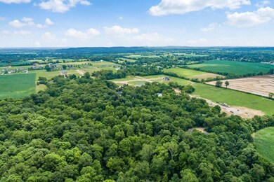 Zwayer Woods In The Summer