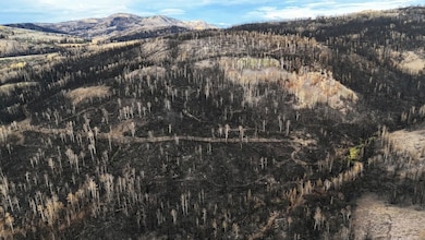 Tbd 123 Monroe Canyon Rd, Monroe, UT 84754 - photo 7