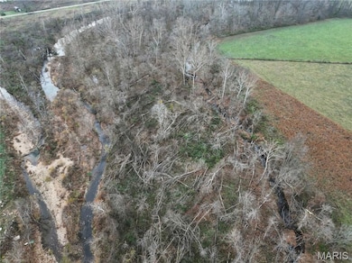 Off Hwy Zz, Marble Hill, MO 63764 - photo 5