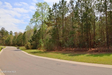 9319 Fallen Pear Ln NE, Northwest, NC 28451 - photo 2