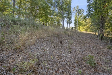 Lot 27 Talking Rocks Rd, Ruth C Township, MO 65737 - photo 7