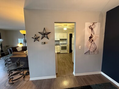 5725 Holmes Ave unit 15, Clarendon Hills, IL 60514 - photo 6