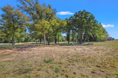 524 Lydia Ln, Granbury, TX 76049 - photo 3