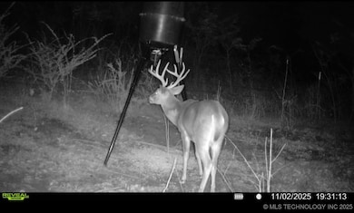 0 Mayes unit 2548587, Adair, OK 74330 - photo 6