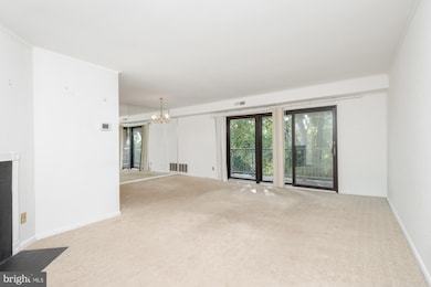 101 Fitz Ct unit 202, Reisterstown, MD 21136 - photo 4