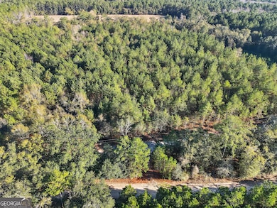 0 Rd unit 10658032, Pembroke, GA 31321 - photo 4