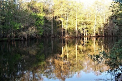The Withlacoochee River flows upstream