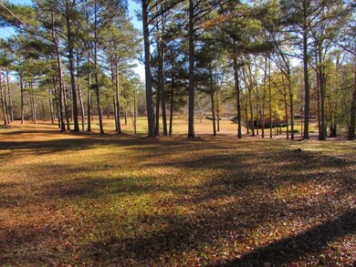 7274 Goodall Mill Rd, Macon, GA 31216 - photo 3