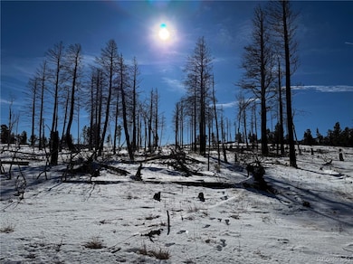 LOT 591 Leslie Loop, Fort Garland, CO 81133 - photo 6