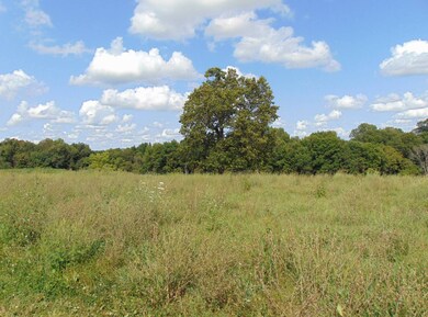 0 Riley-Gravel Switch Rd, Gravel Switch, KY 40328 - photo 4