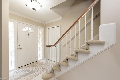 Carpeted entrance foyer featuring crown molding an