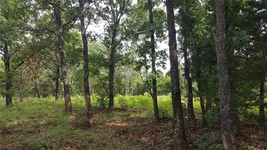 Lot 86 Riner Rd, Pottsboro, TX 75076 - photo 6