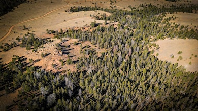 00000 Wilderness Ranch Rd, Red Feather Lakes, CO 80545 - photo 7