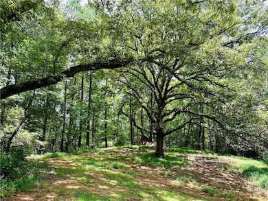 2582 White Sulphur Rd, Gainesville, GA 30501 - photo 4