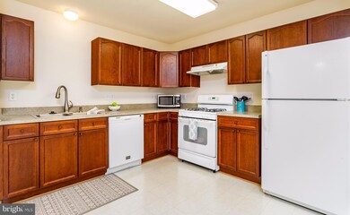 508 Hupps Hill Ct, Strasburg, VA 22657 - photo 2