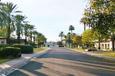 One of prettiest street in Tempe