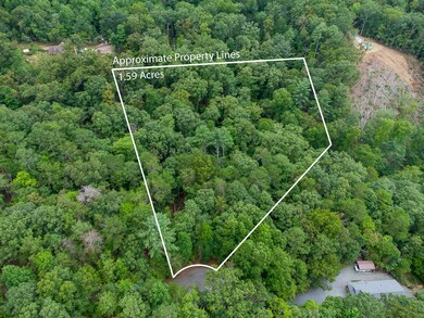 372 Emerald Springs Ln, Ellijay, GA 30540 - photo 2