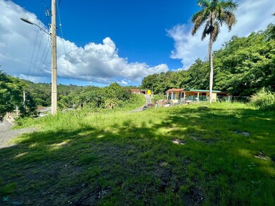 10 Carr 412 Solar D-, Rincon, PR 00677 - photo 5
