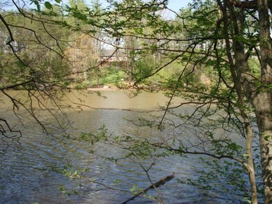 Summer View Across the Cove