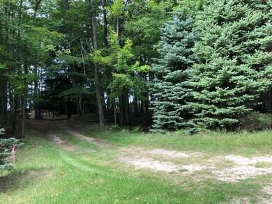 Two-Track Driveway from Cottage to Road
