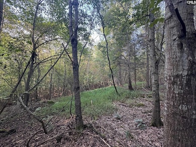 0 Shaw Rd, Woodruff, SC 29388 - photo 6