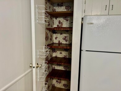 2 Dode Drive - Kitchen Pantry