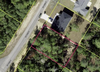 0 SW 169th Place unit MFRO6363221, Ocala, FL 34473 - photo 4