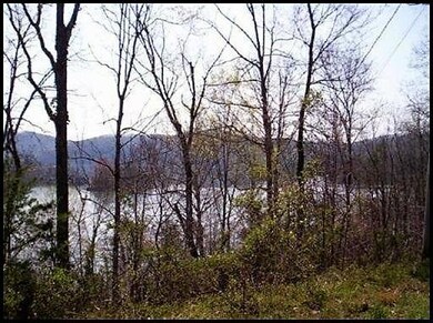 0 Lot 258 Big Ridge Pointe unit 993465, Sharps Chapel, TN 37866 - photo 2