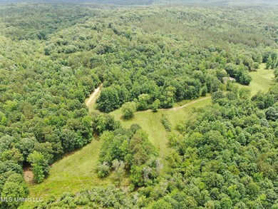 DJI_0597